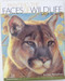 Painting the Faces of Wildlife