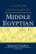 Concise Dictionary of Middle Egyptian