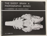 The Sheep Brain