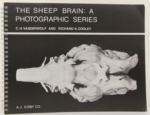 The Sheep Brain