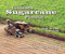 Louisiana Sugarcane Pictorial