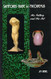 Sanfords Guide to Nicodemus His Pottery and His Art