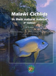 Malawi Cichlids in Their Natural Habitat