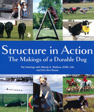 Structure in Action