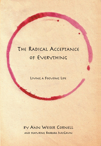 The Radical Acceptance of Everything