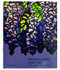 Tiffany Lamps: A History | Mosaic Shades Volume 1 | Paul Crist