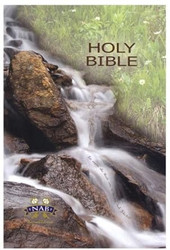 Catholic Student Edition NABRE