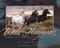 Wild Hoofbeats