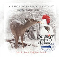 Stranger in the Woods