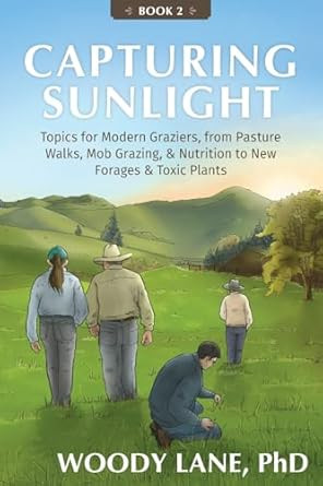 Capturing Sunlight Book 2