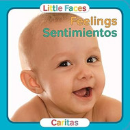 Feelings / Sentimientos