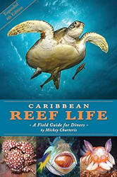 Caribbean Reef Life