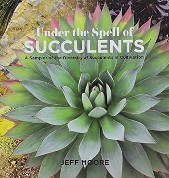 Under the Spell of Succulents