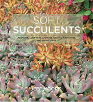 Soft Succulents