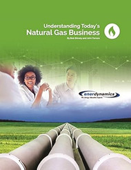 Understanding Today's Natural Gas Business