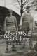 Toni Wolff & C. G. Jung