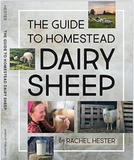 The Guide to Homestead Dairy Sheep