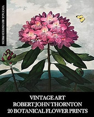 Vintage Art