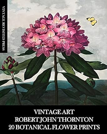 Vintage Art