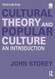Cultural Theory and Popular Culture