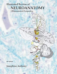 Illustrated Review of Neuroanatomy