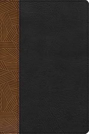 Reina Valera 1960 Biblia de Estudio con Indice Rainbow