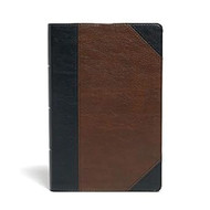 KJV Large Print Personal Size Reference Bible Black/Brown
