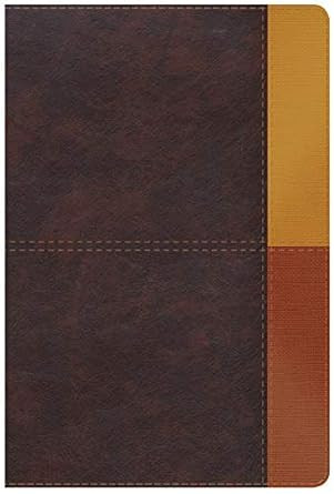 Reina Valera 1960 Biblia de Estudio Arcoiris cocoa/ terracota