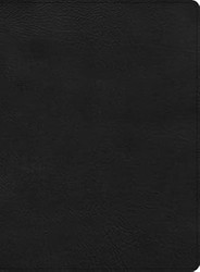 CSB Apologetics English Anglicised Study Bible