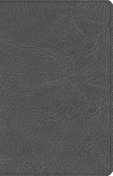 Thinline Bible with Easy-to-Read Bible Serif Type