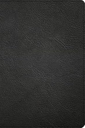 CSB Large Print Thinline Bible Holman Handcrafted Collection