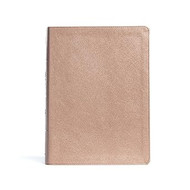 Study Bible Christian Standard Bible CSB