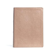 CSB Study Bible Christian Standard Bible