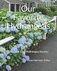 Our Favorite Hydrangeas