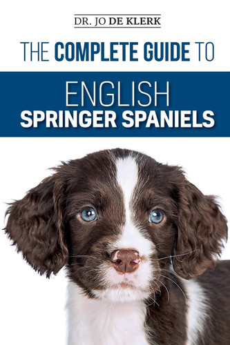 The Complete Guide to English Springer Spaniels