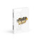 Final Fantasy Type-0 HD