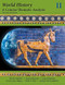 World History: A Concise Thematic Analysis Volume 2
