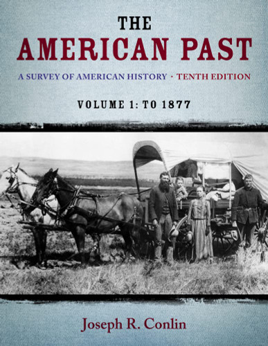 The American Past: A Survey of American History Volume I: To 1877