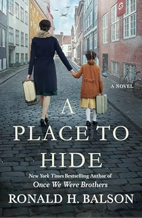 A Place to Hide: A Novel