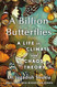 A Billion Butterflies A Billion Butterflies
