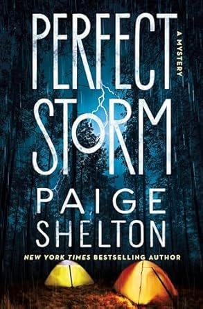 Perfect Storm: A Mystery