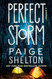 Perfect Storm: A Mystery