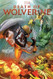 Death Of Wolverine Omnibus Alex Ross Cover