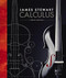 Calculus 8th Edition