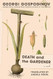 Death and the Gardener: A Novel