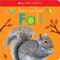 Touch and Feel Fall: Scholastic Early Learners