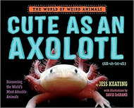 Cute As An Axolotl