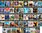 Magic Tree House Fact Trackers Series Complete 44 Book