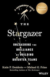 The Stargazer: Unleashing the Brilliance of Building Brighter Teams