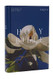 NRSV Catholic Edition Bible Magnolia
